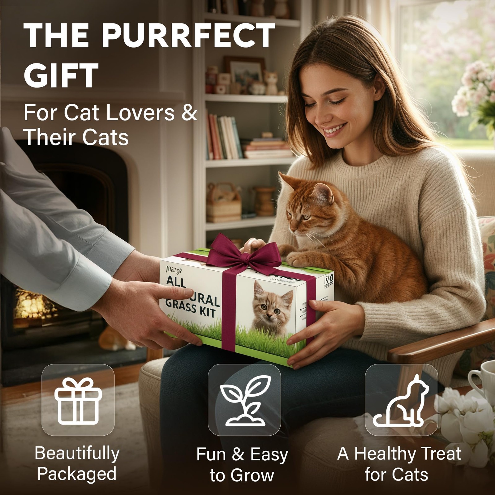 Cat Grass Kit for Indoor Cats – x4 Packets | Cat Grass Seeds with Wooden Plan…