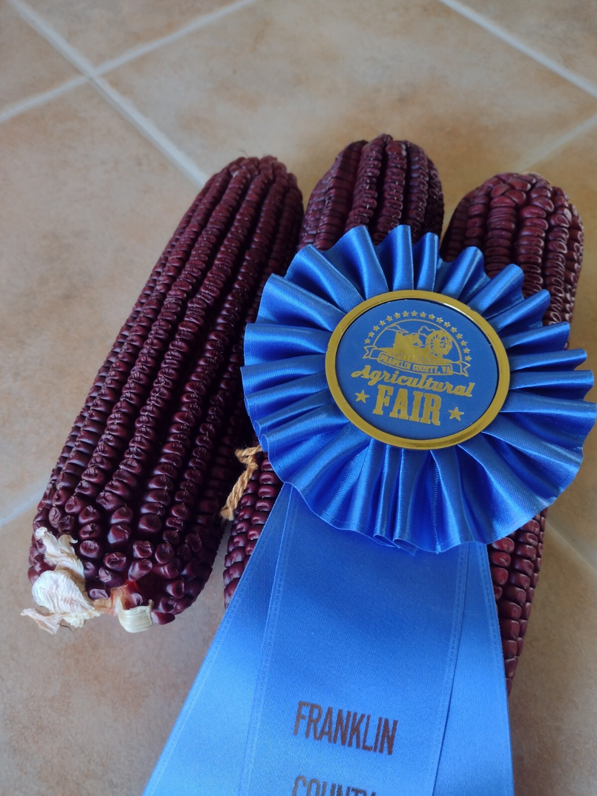 Jimmy Red Corn – Heirloom Dent Corn Seed or For Milling – 1/2 pound Avg 700 Seed