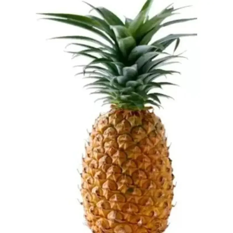 10 Pcs Pinkglow Pineapple Seeds for Garden Planting – USA