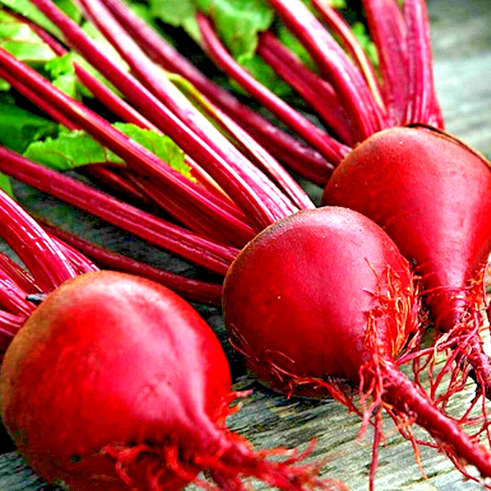 200+ DETROIT BEET SEEDS SPRING GARDEN BEETROOT NON-GMO VEGETABLE HEIRLOOM USA