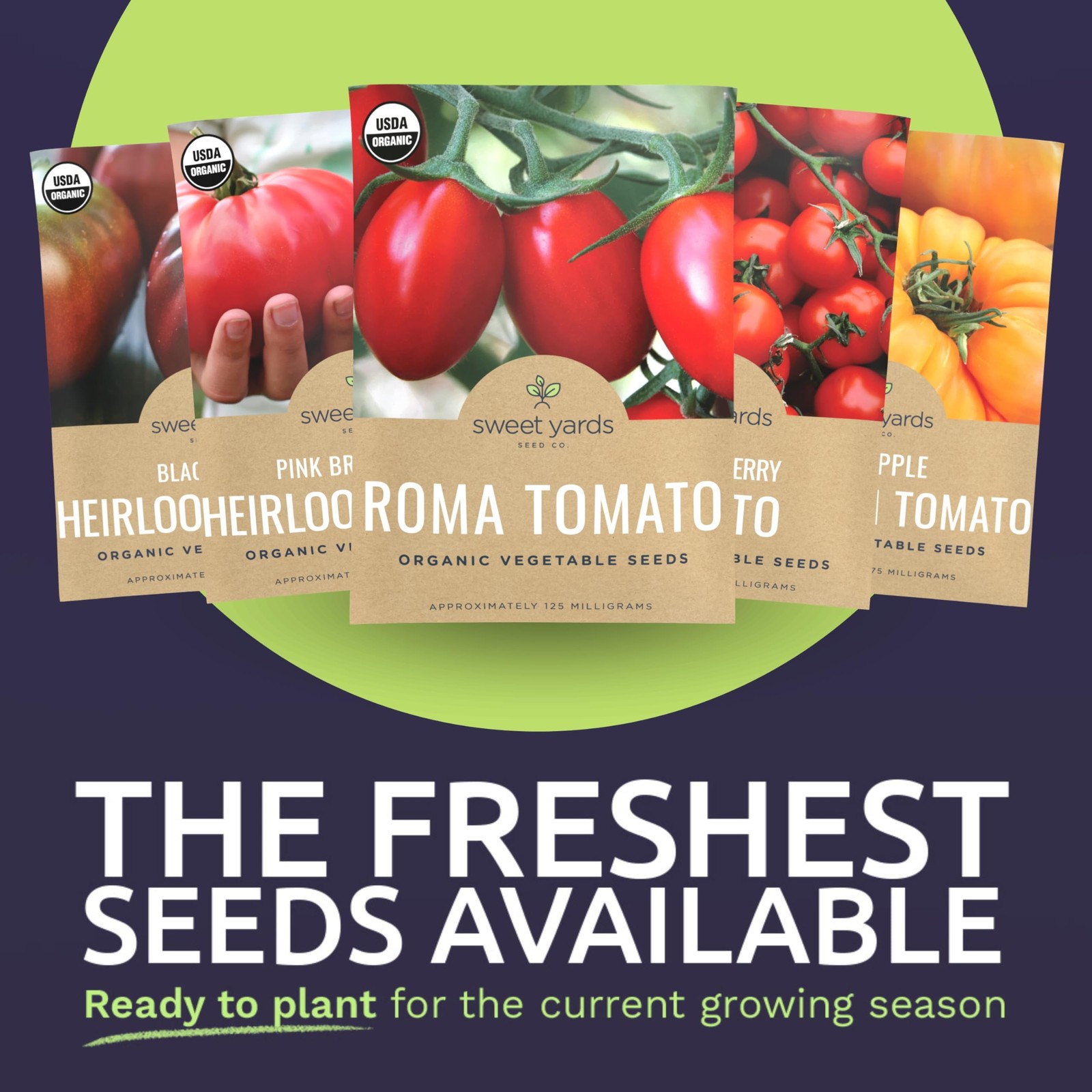 Organic Tomato Seeds Variety Pack 5 Individual Packs 2026 Season Roma, Pin…