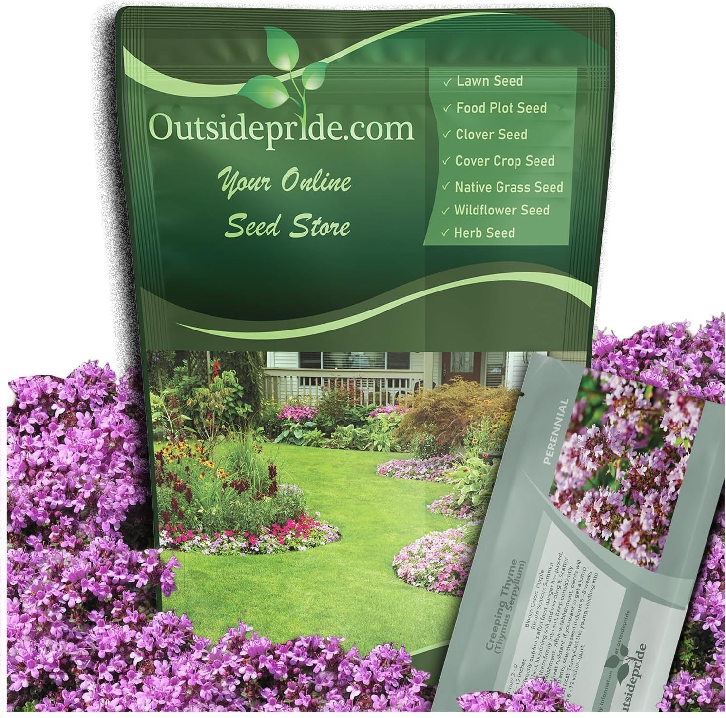 Creeping Thyme Seeds – 1/2 Lb Drought Tolerant Lavender Blooms for Beautiful …