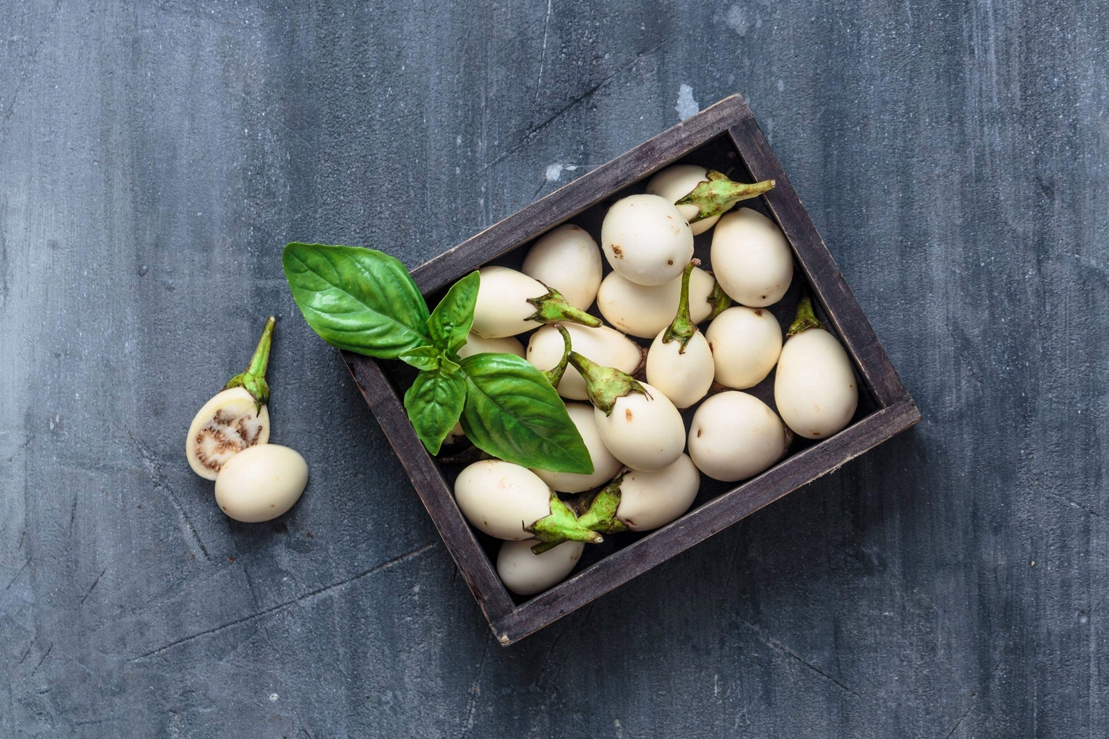 30 EASTER EGG PLANT Ornamental Easter Eggplant / Nest Egg Solanum Ovigerum Seeds