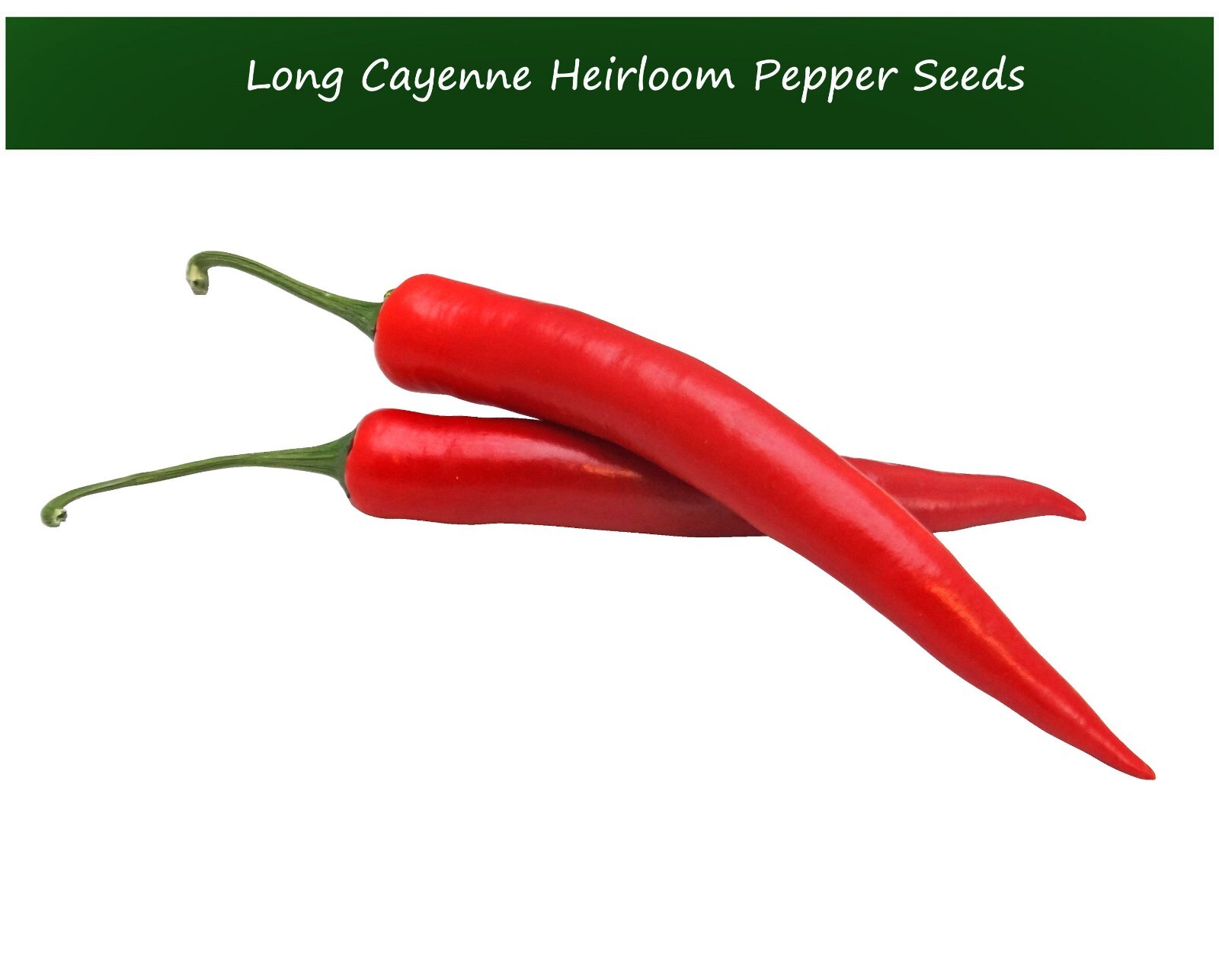 Vegetable Seeds-Long Red Cayenne Pepper-20 Chile Seeds- Beautiful Green to Red