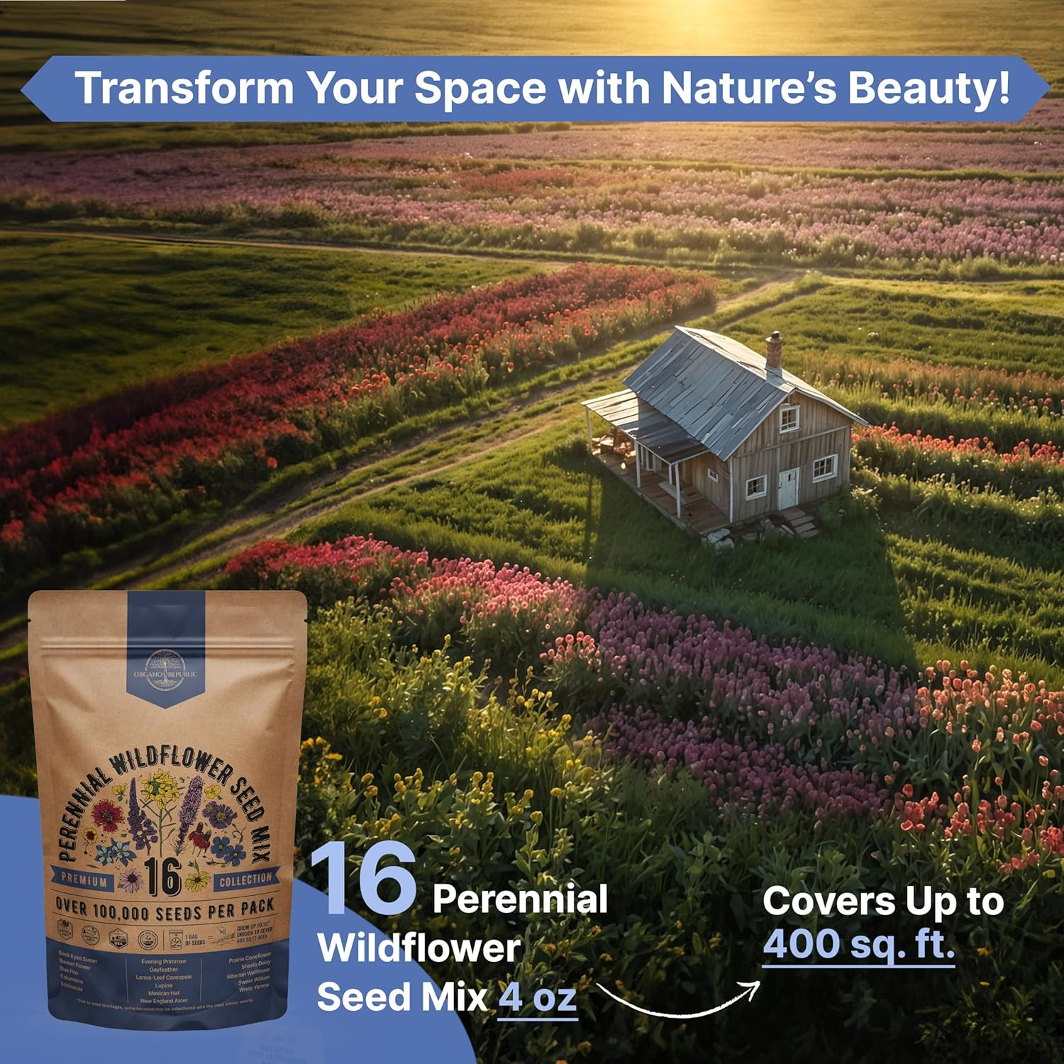 Organo Republic 16 Perennial Wildflower Seeds Mix for Indoor & Outdoors. 100,000