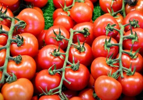 CHERRY TOMATO NON-GMO Vegetable Garden Seeds 50 Fresh Seeds