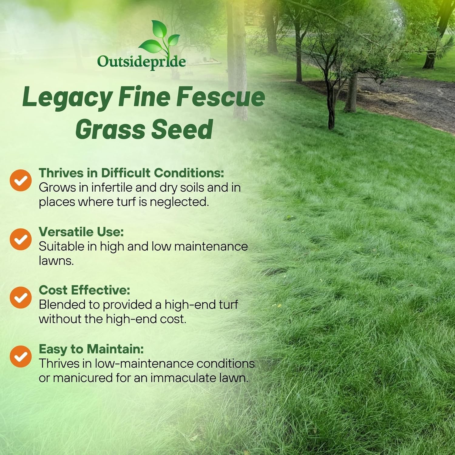 25 LBS – OptiGrowth Coated Legacy Fine Fescue Grass Seed For Lawns – Grass