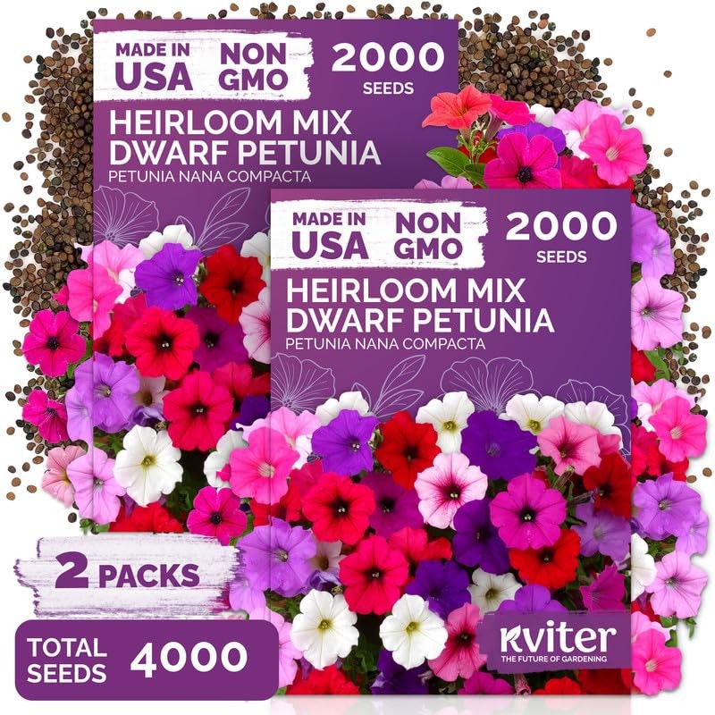 KVITER 4,000 Mix Dwarf Petunia Seeds (Nana Compacta), 2 Pack