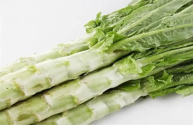 2000++Seeds Mix Green & Purple Sword Lettuce seeds, Celtuce, wosun Celtuce 紫萵筍