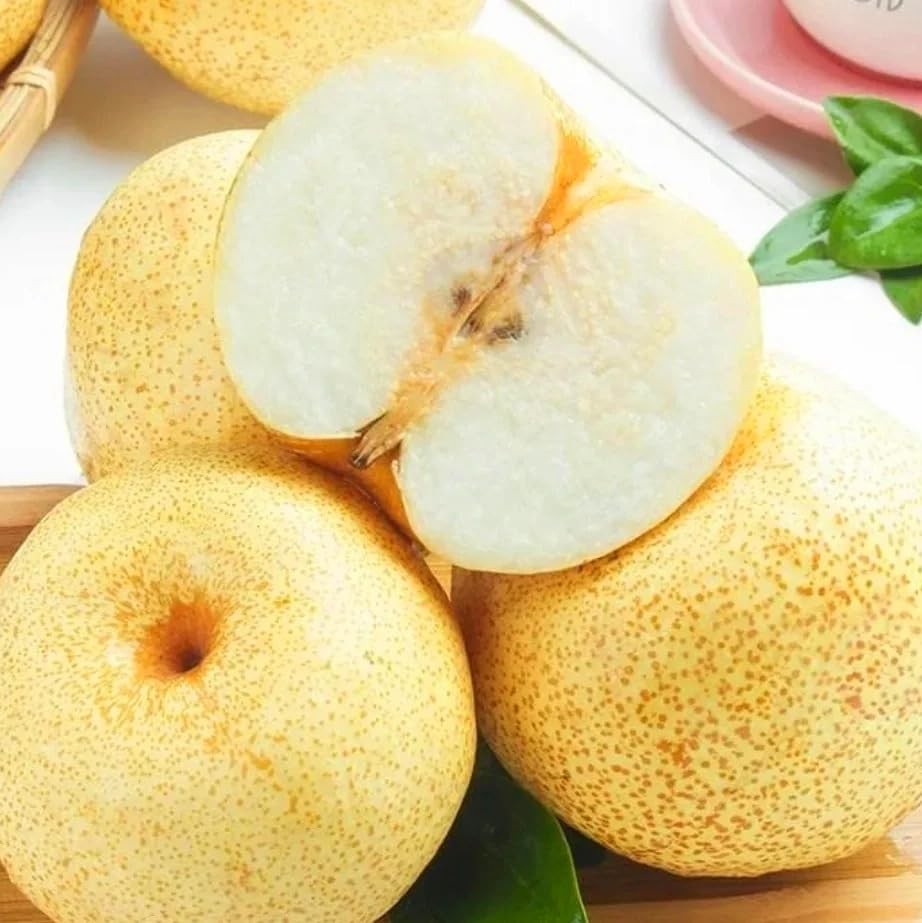 35+pcs Perennial Pear Fruits Tree Seeds for Planting Outdoor