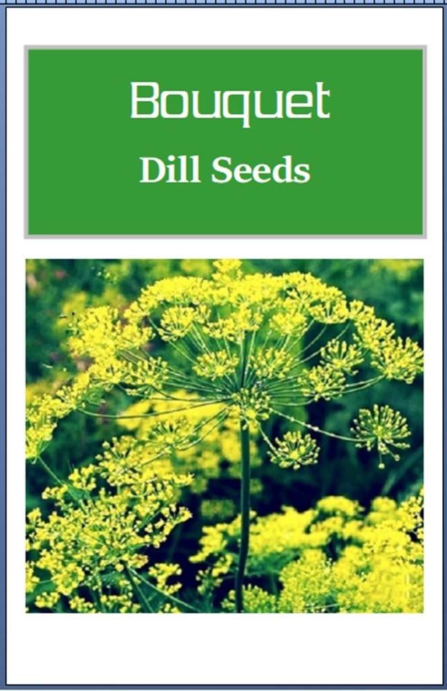 Bouquet Dill Seeds | NON-GMO | Heirloom | Fresh Garden Seeds