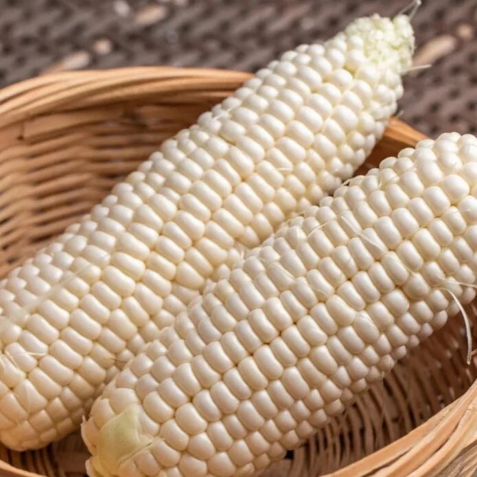 50pcs Sweet White Corn Seeds – Heirloom, Sweet, Open-Pollinated, Non-GMO