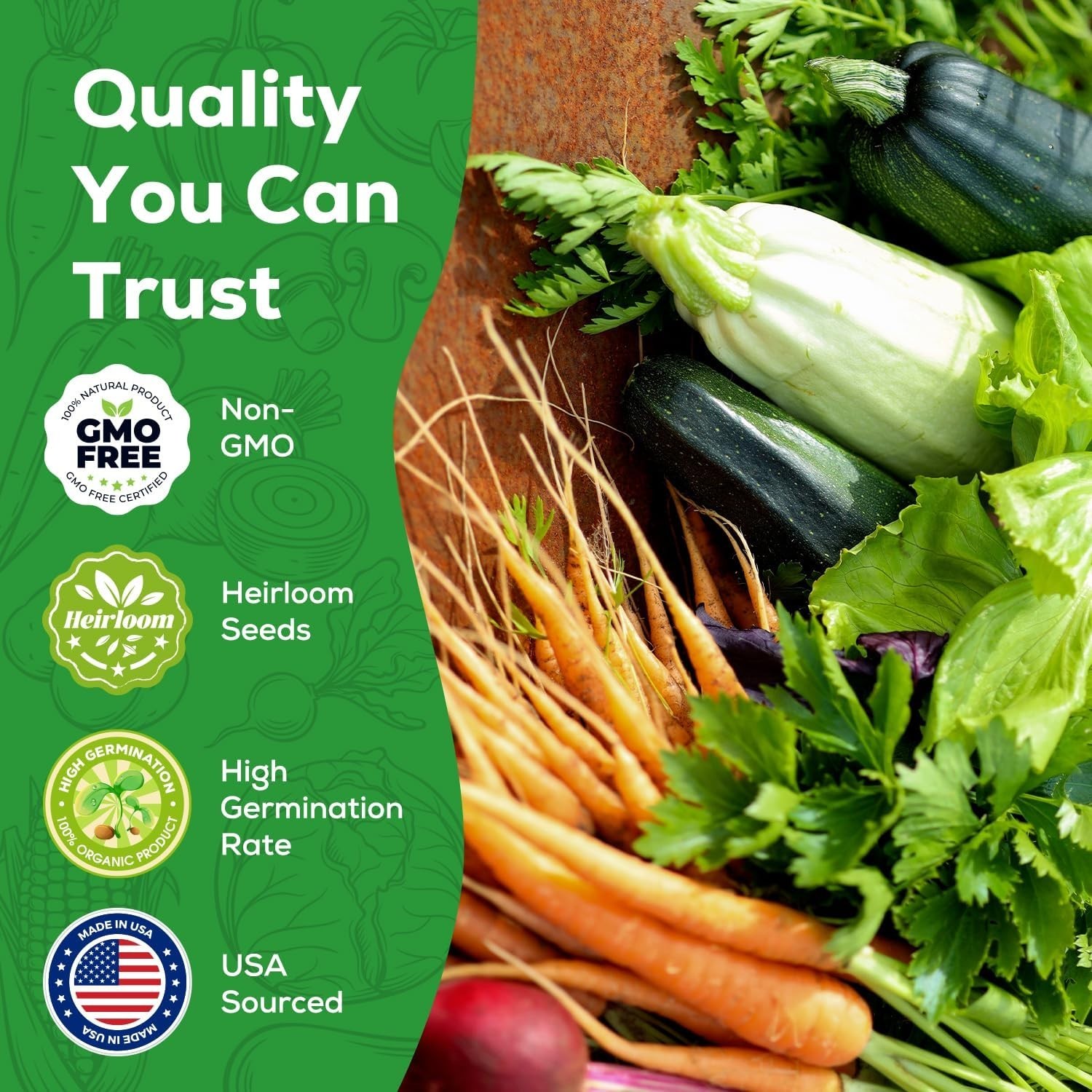 10 Vegetable Seeds Pack – Non GMO, Heirloom – Basil, Snap Pea, Broccoli, Bean…