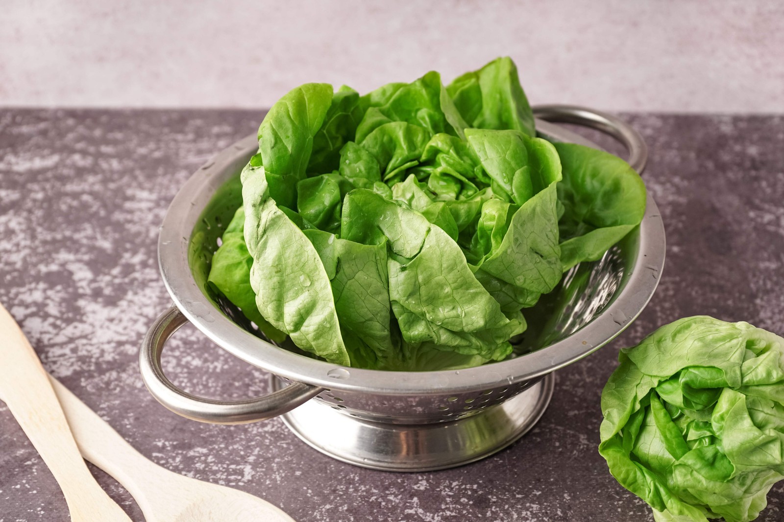 2000 BIBB LETTUCE (Limestone Lettuce) Lactuca Sativa Vegetable Seeds