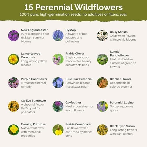 Midwest Perennial Wildflower Seed Mix – 120,000+ Seeds, Attracts Pollinators, Pl