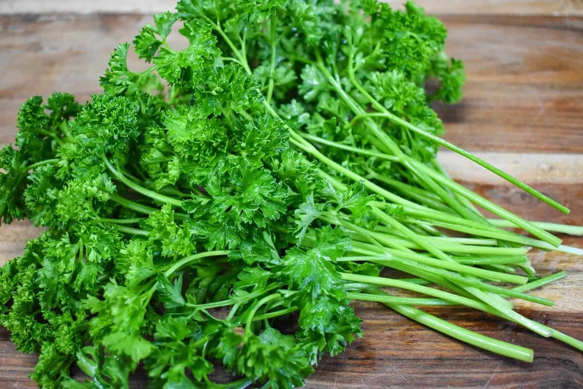 Triple Moss Curled Parsley Seeds | For Planting Curly Leaf Herb Garden Seed 2024
