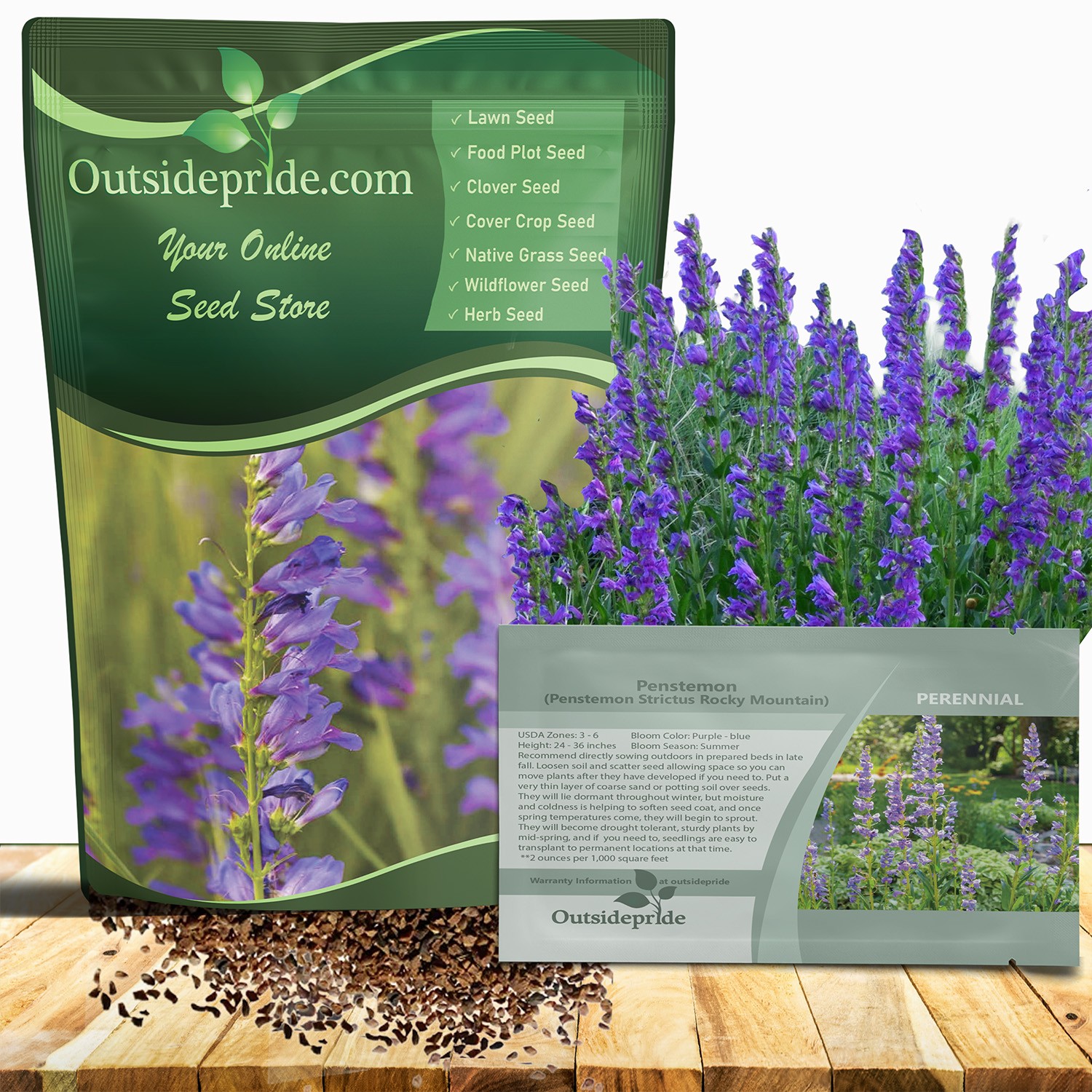 5000 Seeds Drought Tolerant Rocky Mountain Penstemon Flower Seed For Xeriscaping