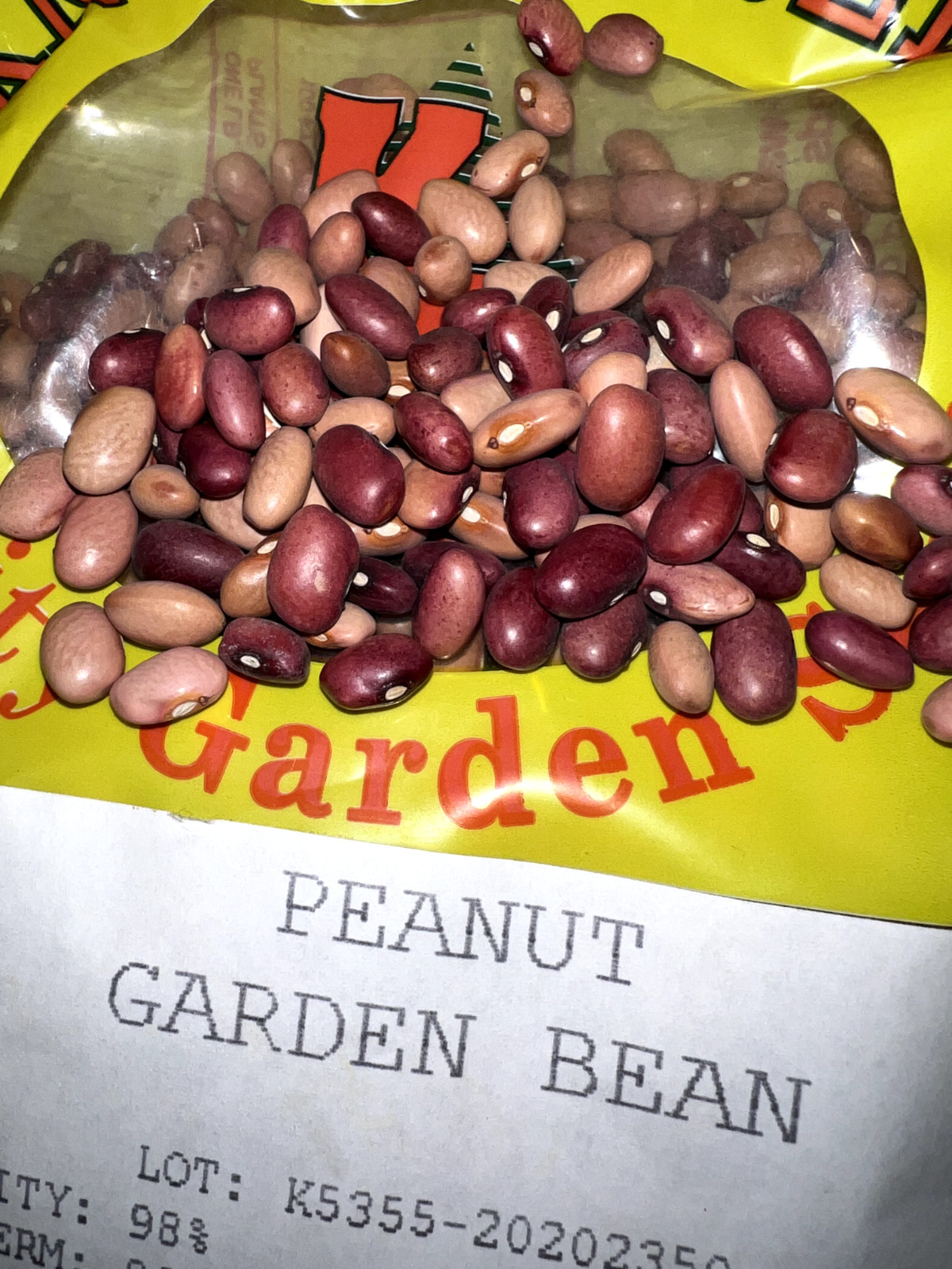Over 300 Red Peanut Garden Bean Seed – Heirloom Green Beans — Quick Mail