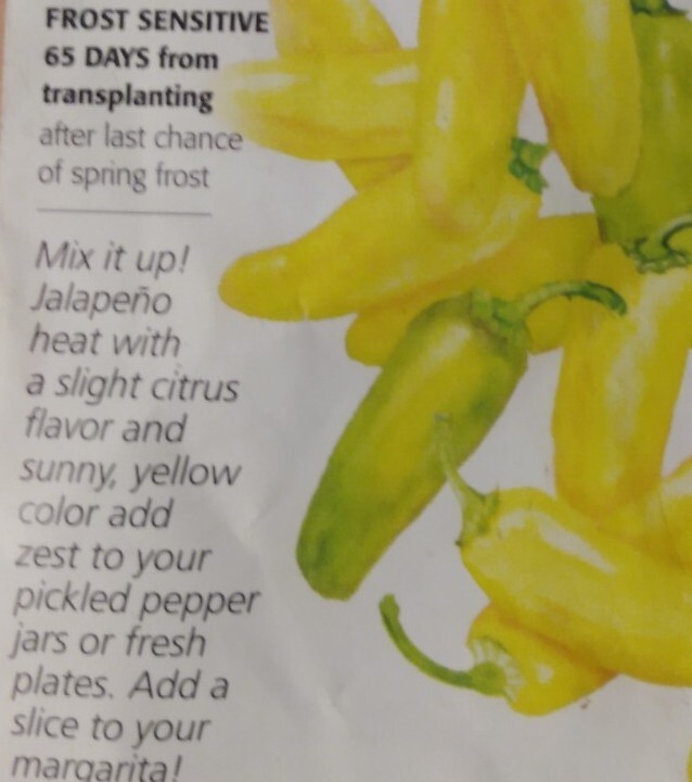 Numex Lemon Spice Jalapeno 10 Seeds Organic Non GMO