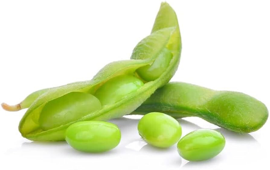 BeSweet Edamame Soy Bean Seeds | USA Non-GMO Vegetable