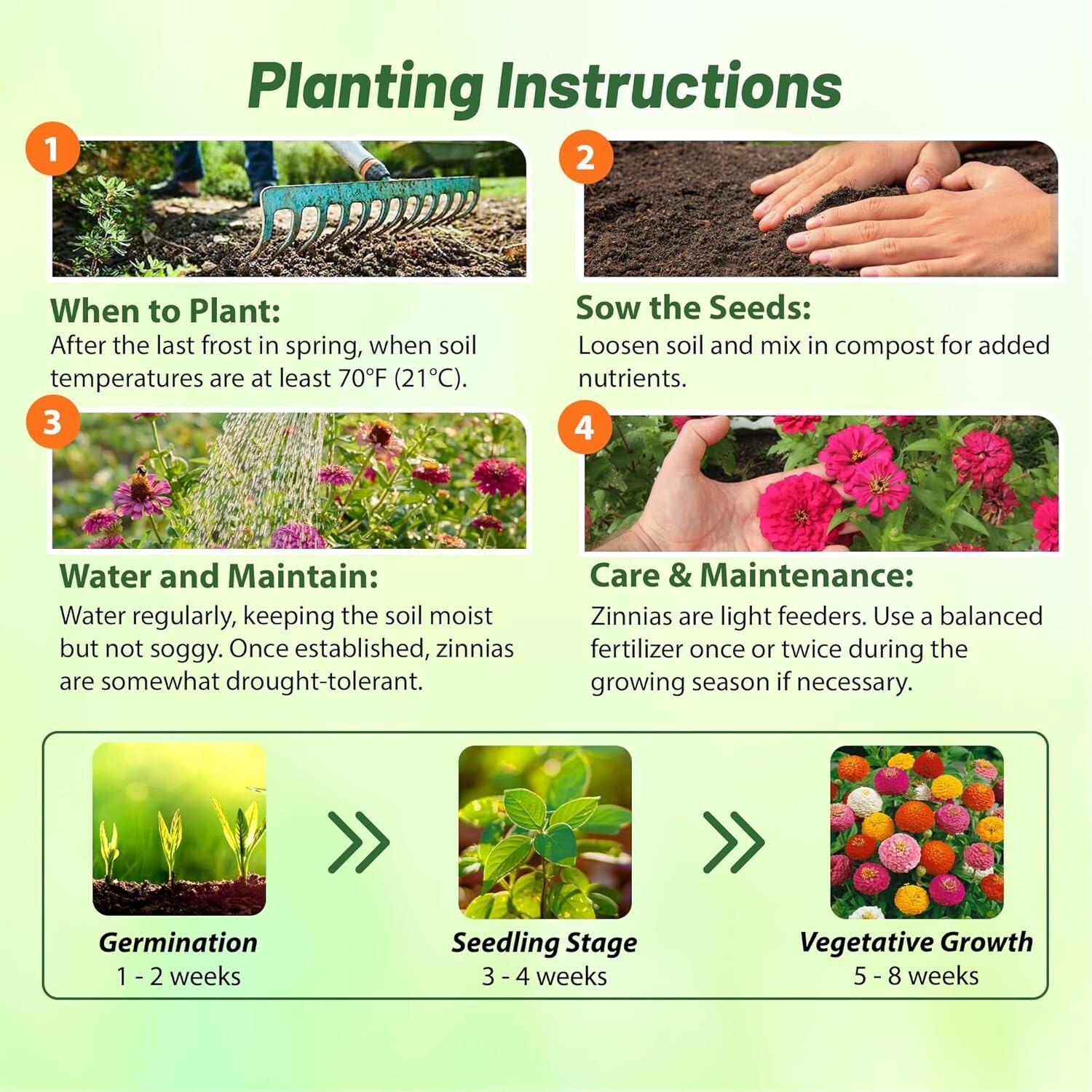 GMO-Free 1 Lb. Zinnia Seeds – Vibrant Annual Blooms for Summer to Winter Display