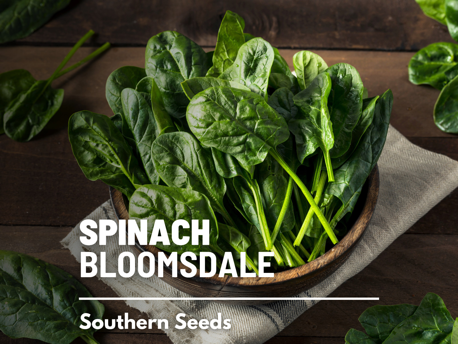 Spinach, Bloomsdale – 150 Seeds – Sow in Spring or Summer – Heirloom – NonGMO