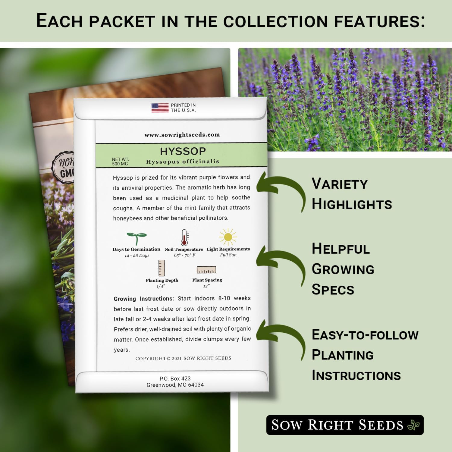 Sow Right Seeds – Large Herbal Tea Garden Seed Collection for Planting – Lemon B