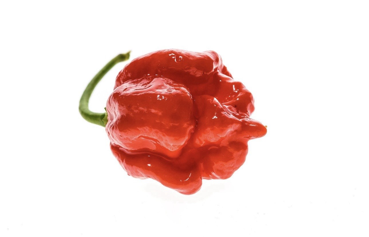 5 Pepper Plants Per Container!! Ready To Ship. All Types!! Epic, Popular, Rare!