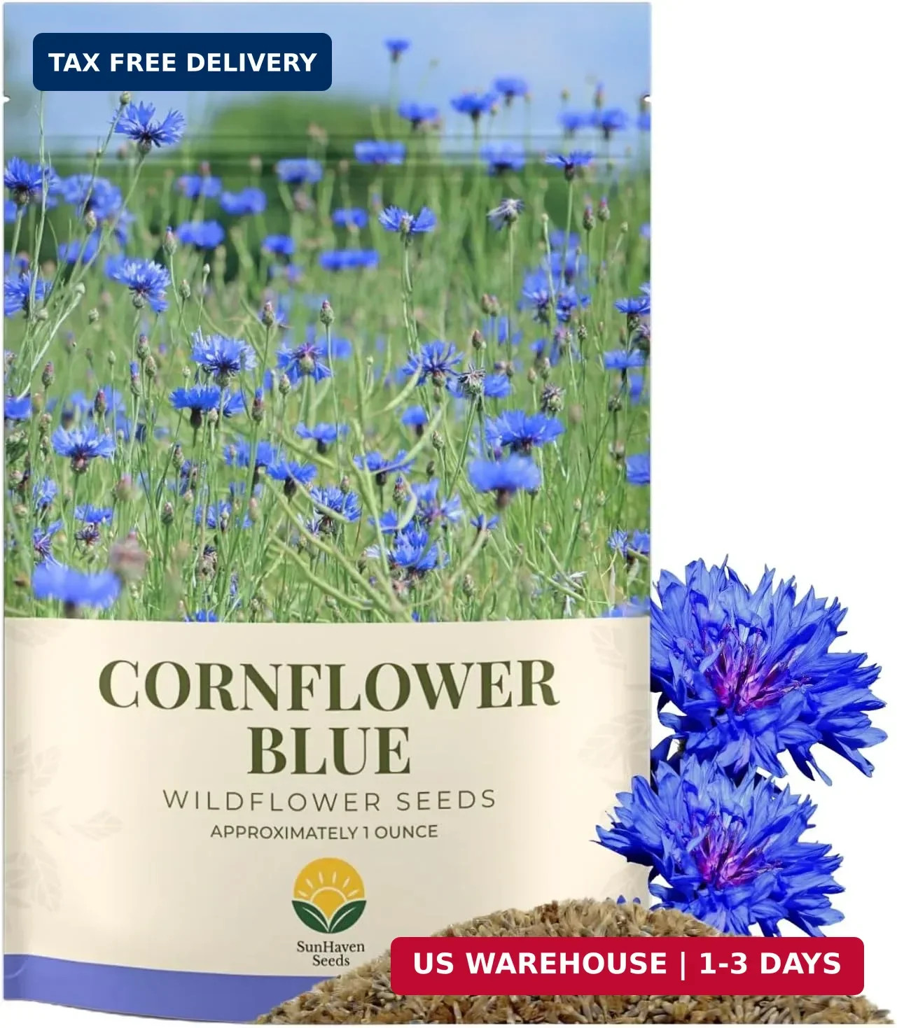 Bachelor Button Seeds – Blue Cornflower – 5,500+ Seeds – 1 oz Bulk Extra Large R