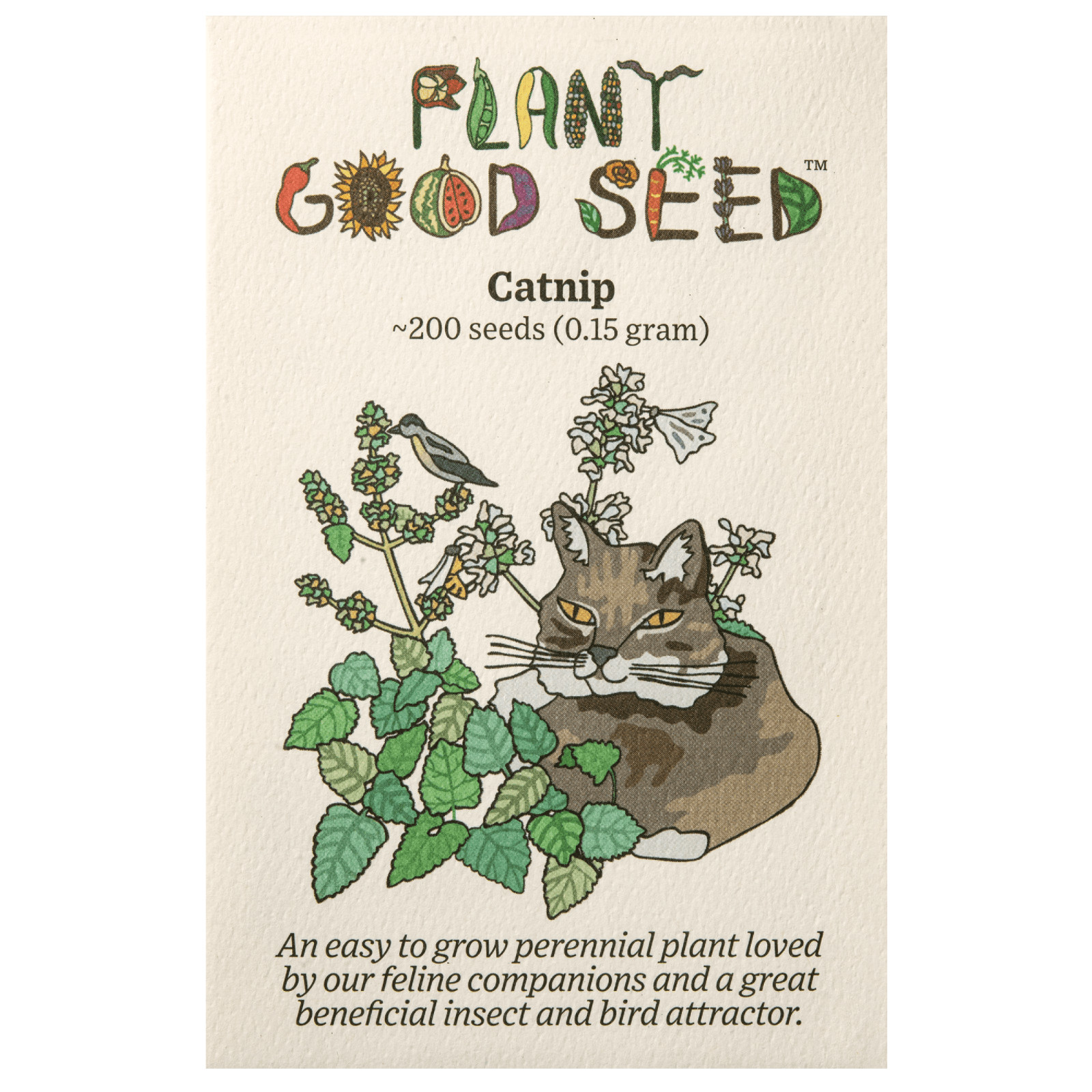 Catnip Seeds for Cats: USDA Organic Non-GMO Seed Packet Catwort Cat Nip, Catmint