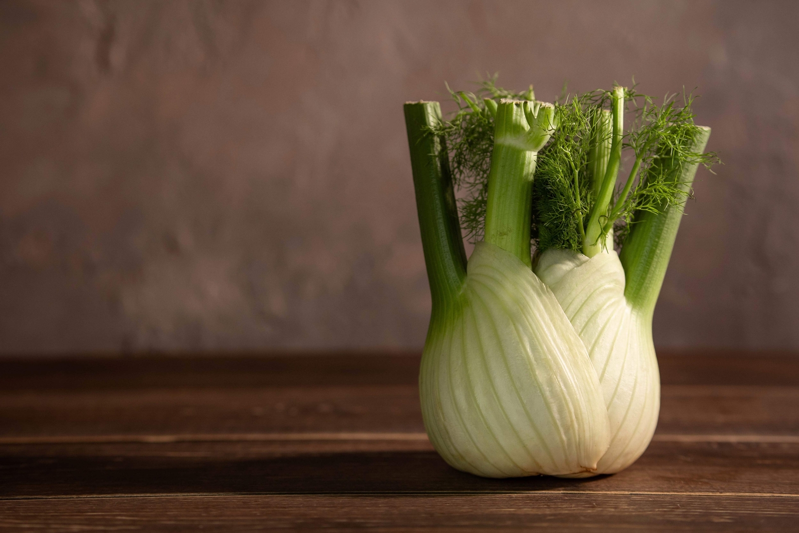 300 SWEET FLORENCE FENNEL Foeniculum Vulgare Azoricum Herb Vegetable Flower Seed