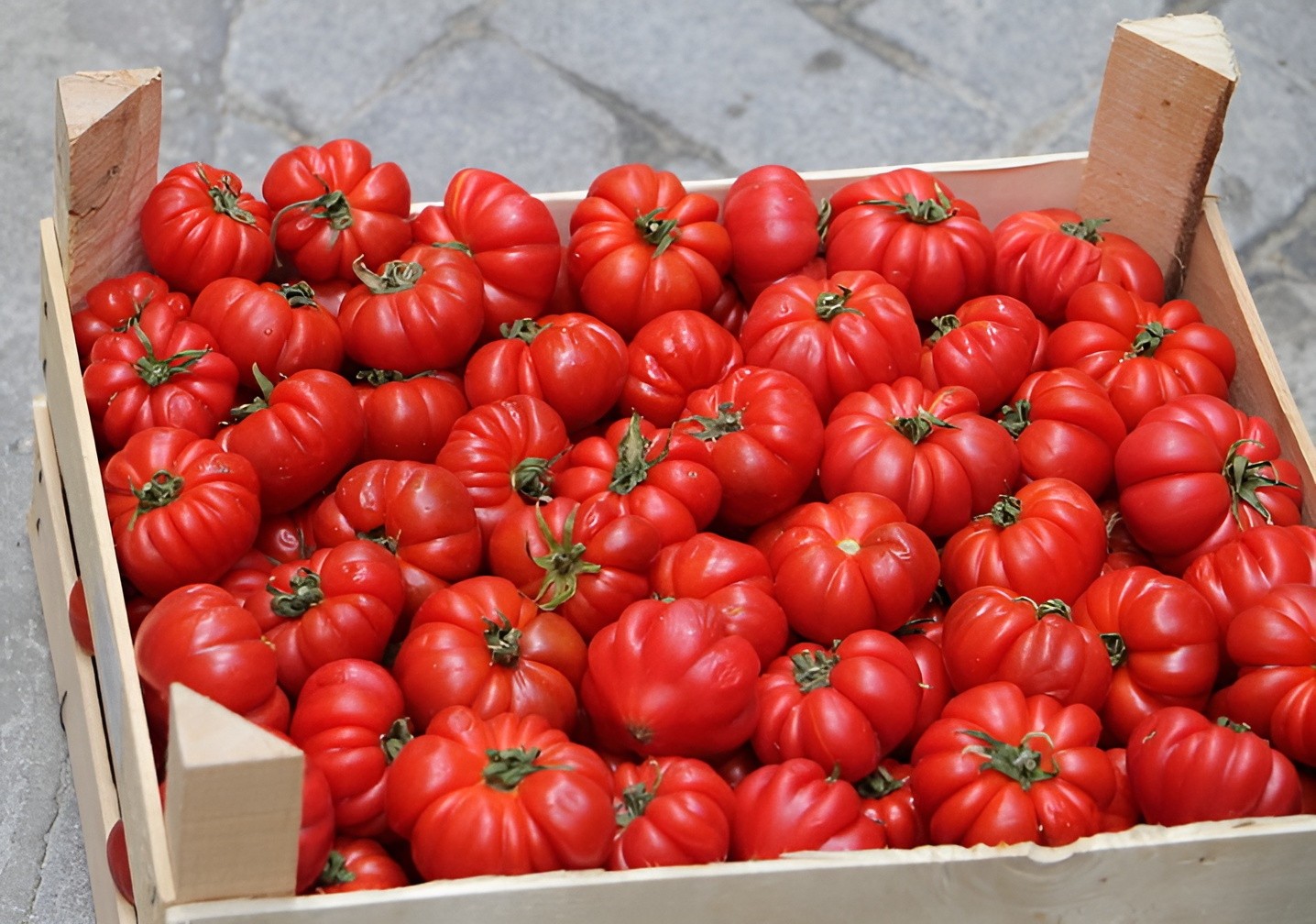 100 Heirloom Rosso Sicilian Tomato Seeds – 14+ oz Unique Shaped Indeterminate