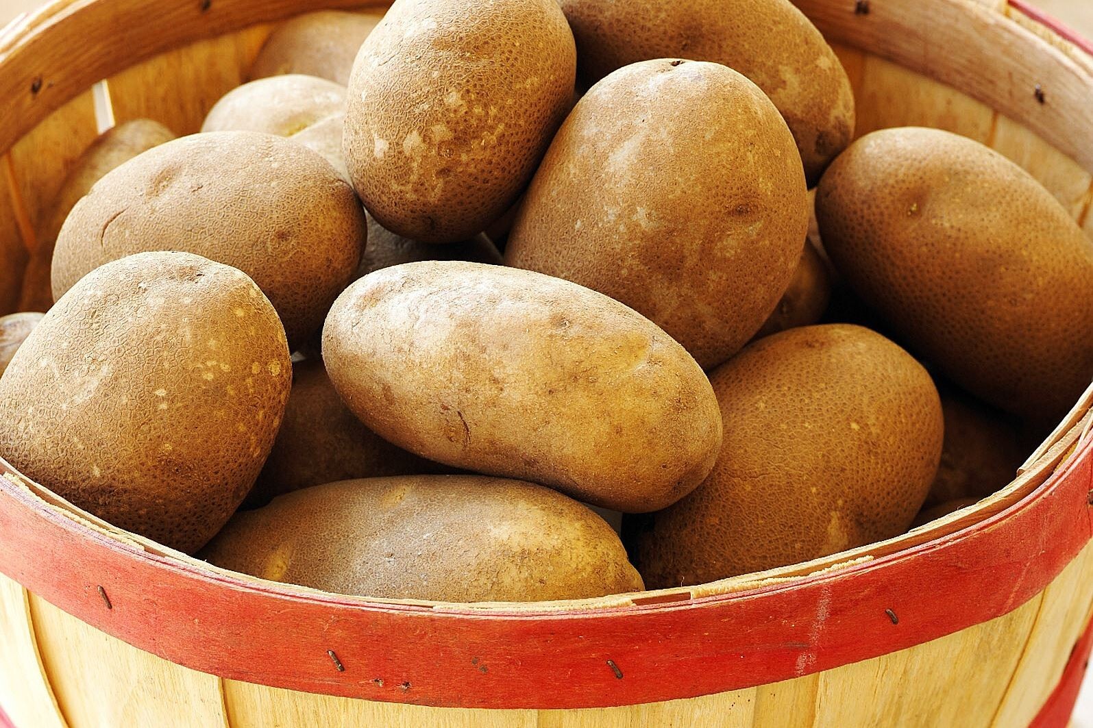 Simply Seed™ – Russet Burbanks – Naturally Grown Seed Potatoes – 5 LBS –