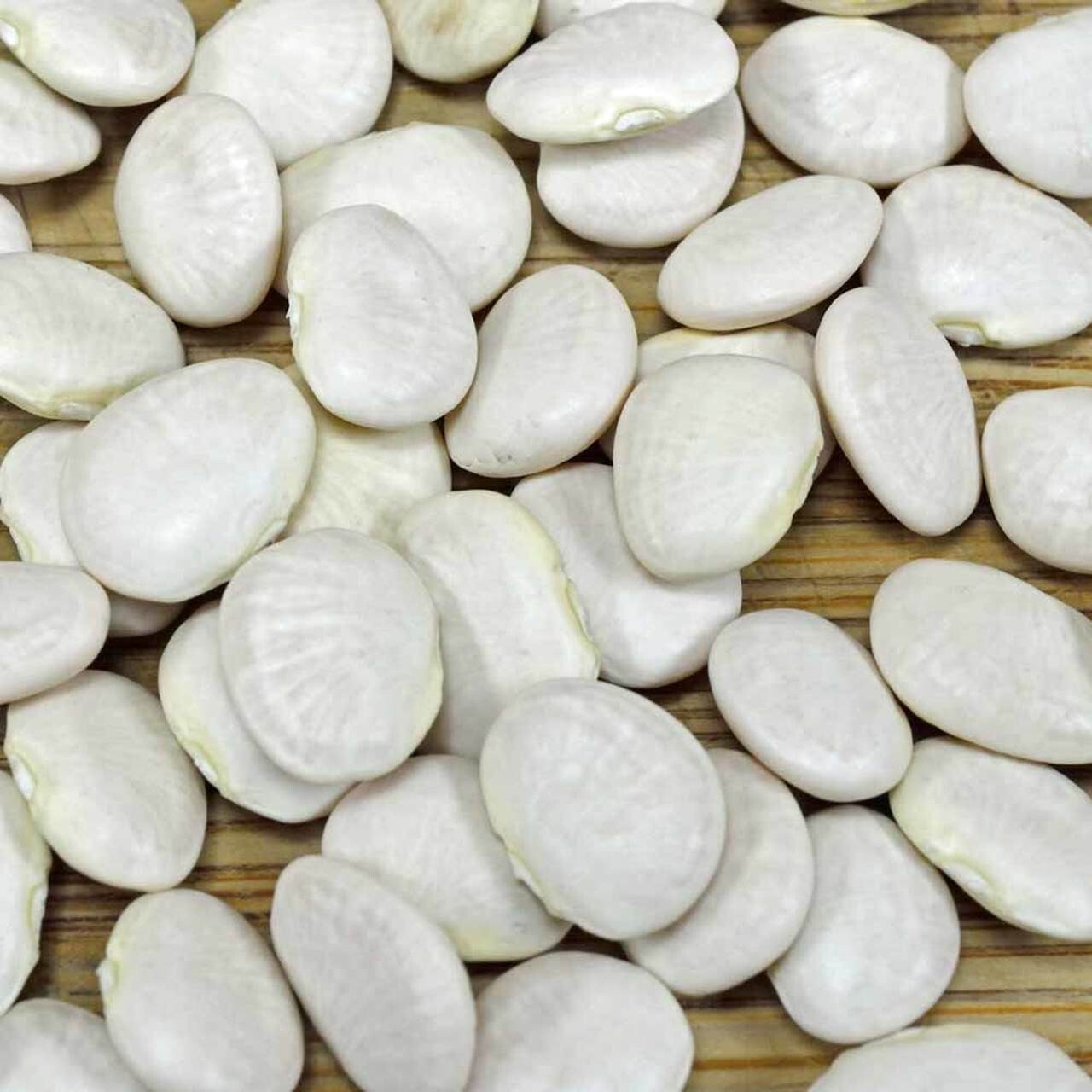 Bean Henderson Bush Lima or Fava Broad Windsor/ Heirloom/Open Pollinated/non GMO