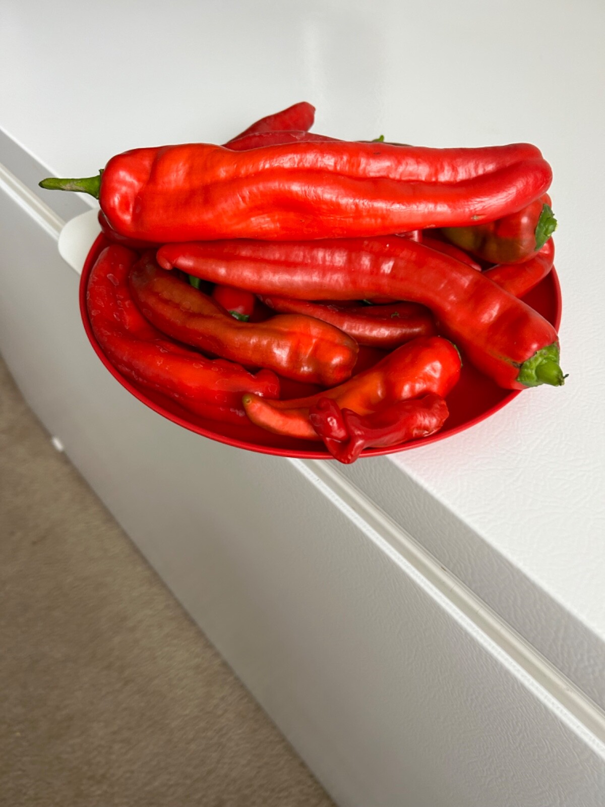 40+ Rare Red Authentic Penis Peter Pepper Seeds. Hot Heirloom Non Gmo