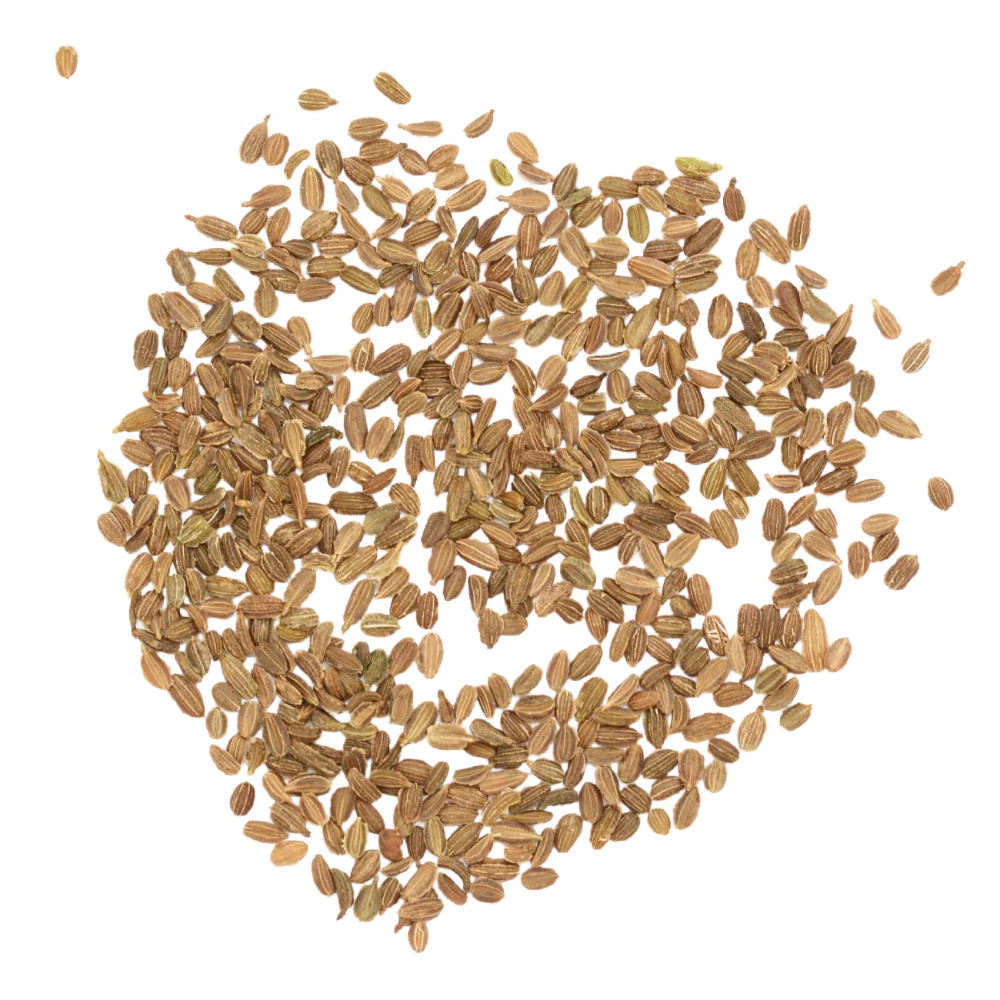 Red Core Chantenay Carrot Seeds For Planting (Daucus carota)