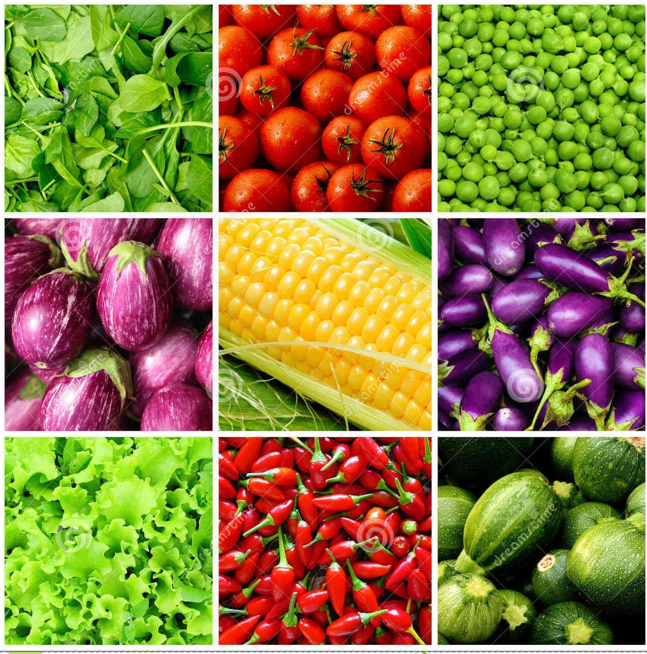 #7 Heirloom Vegetable Seeds 6 Variety Garden Set Emergency Survival NON-GMO 150+