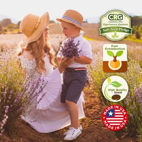 Bumblebee Bonanza Wildflower Seeds – 1oz, Open-Pollinated Wildflower Seed