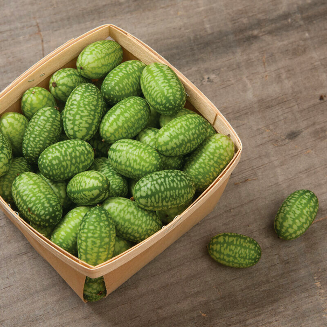 Fresh Mexican Sour Gherkin Seeds | Mouse Melon | Heirloom Non-GMO | Vegetables