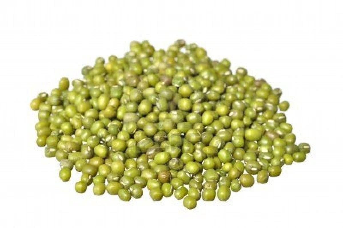 ® Sprouting Seeds Mung Bean, Chinese Bean Sprouts, 5 Pounds