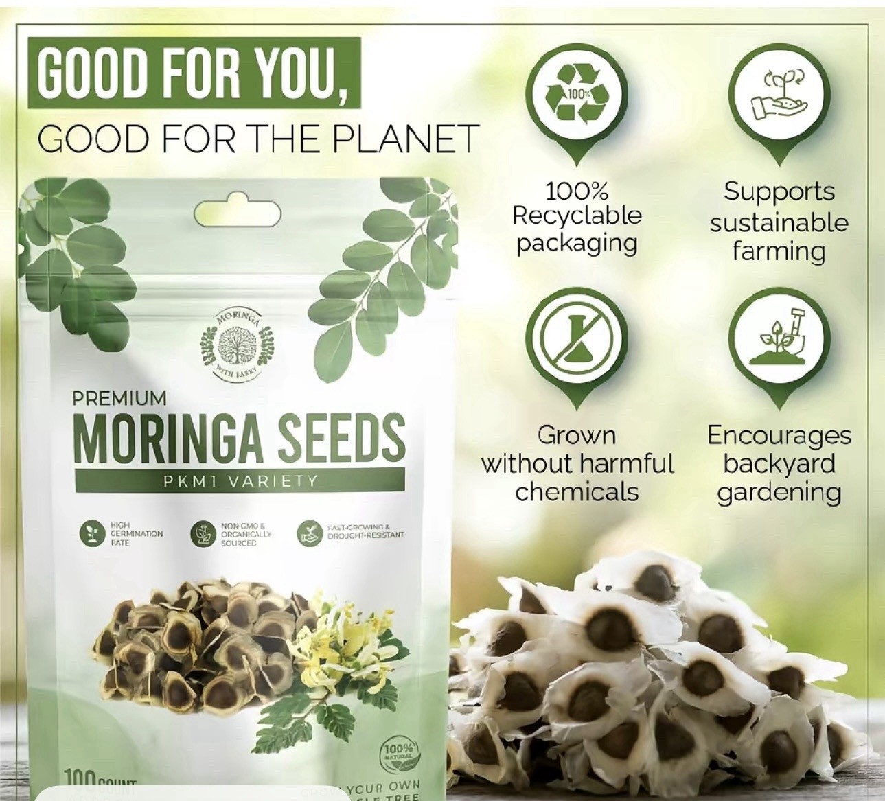 Moringa with Barry PKM1 Moringa Tree Seeds 100 Count Organic Non-GMO Fast