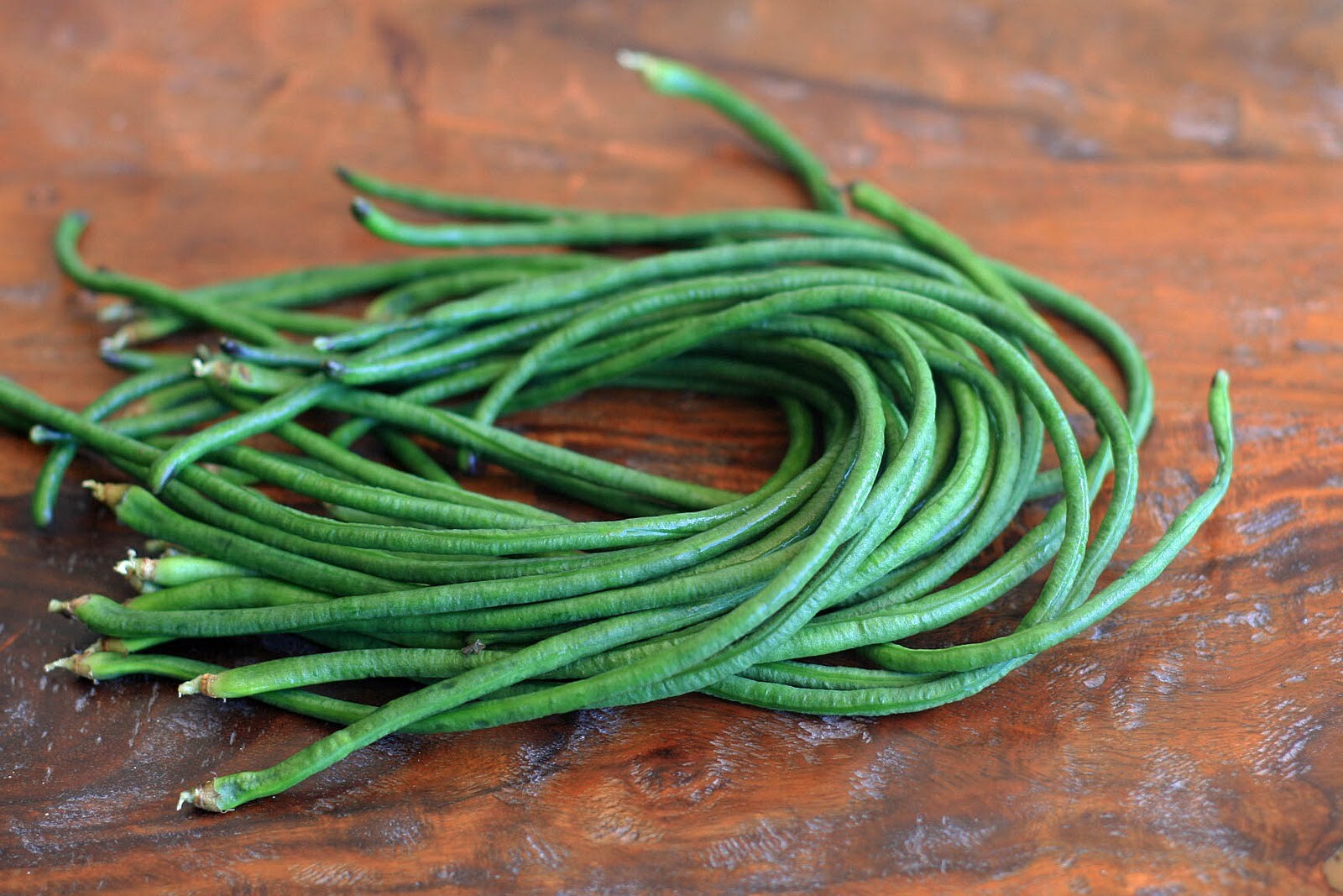 5 Colors Mix Yard Long Bean Seeds | Multi Variety Pole Asian Vegetable Seed 2023