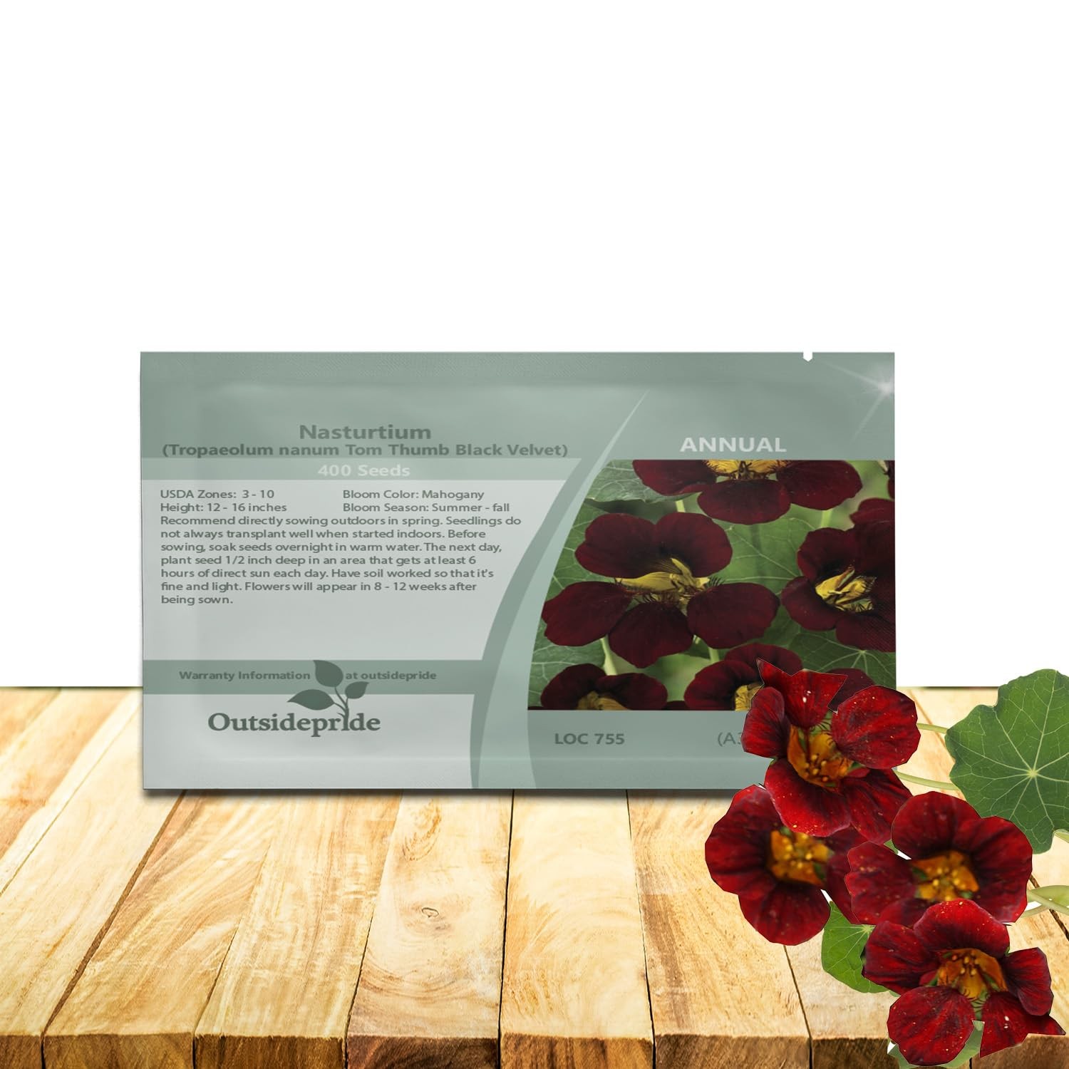 Tom Thumb Black Velvet Nasturtium Seeds 200 Pcs for Vibrant Flower Gardens