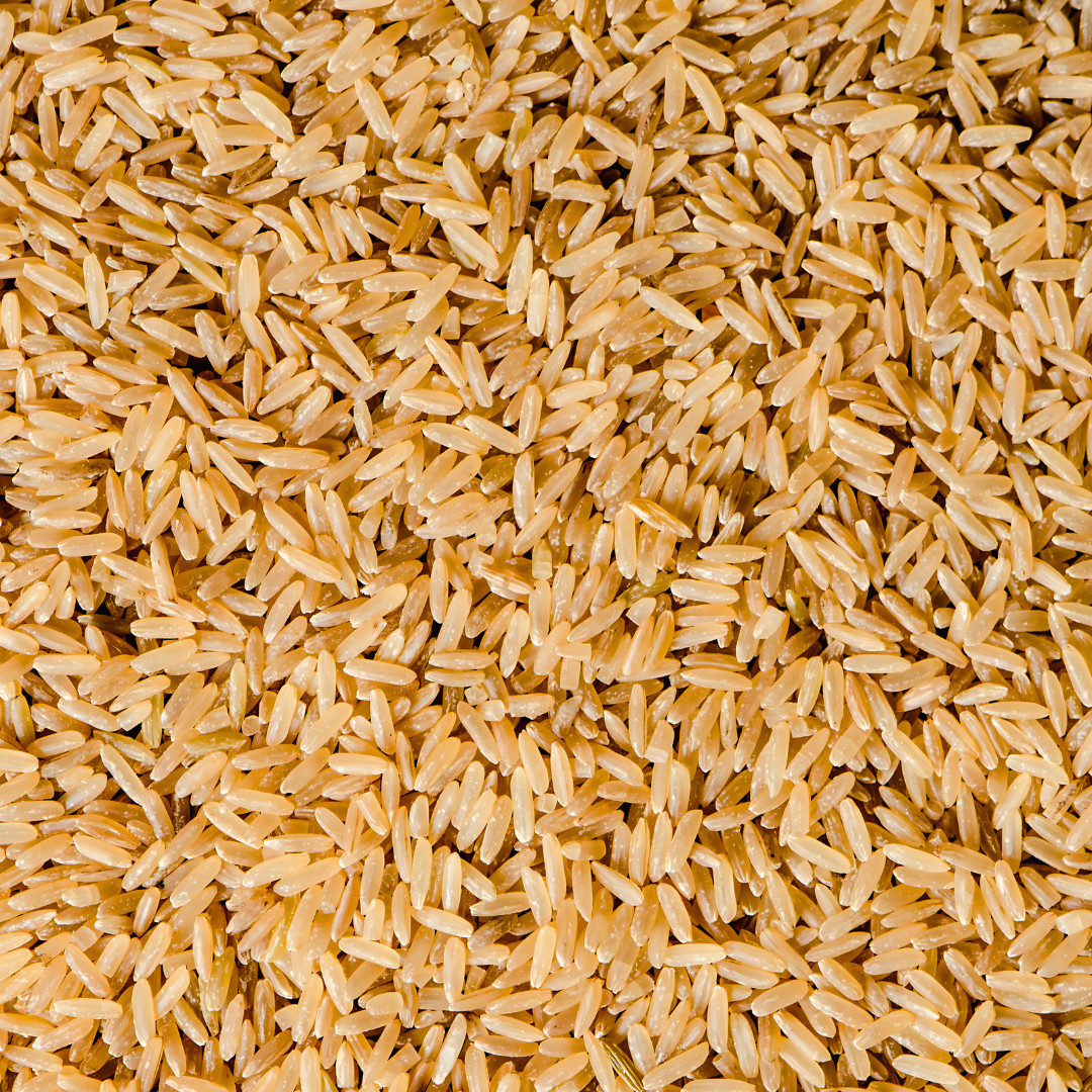 Fresh Thai Brown Jasmine Rice Plant Seeds | Organic | Heirloom Non-GMO | Grains