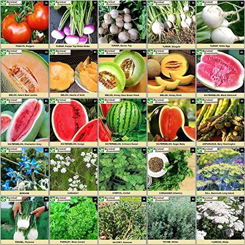 Heirloom Seed Vault – 100 Varieties, 17,500+ Non-GMO Vegetable, Fruit & Herb See
