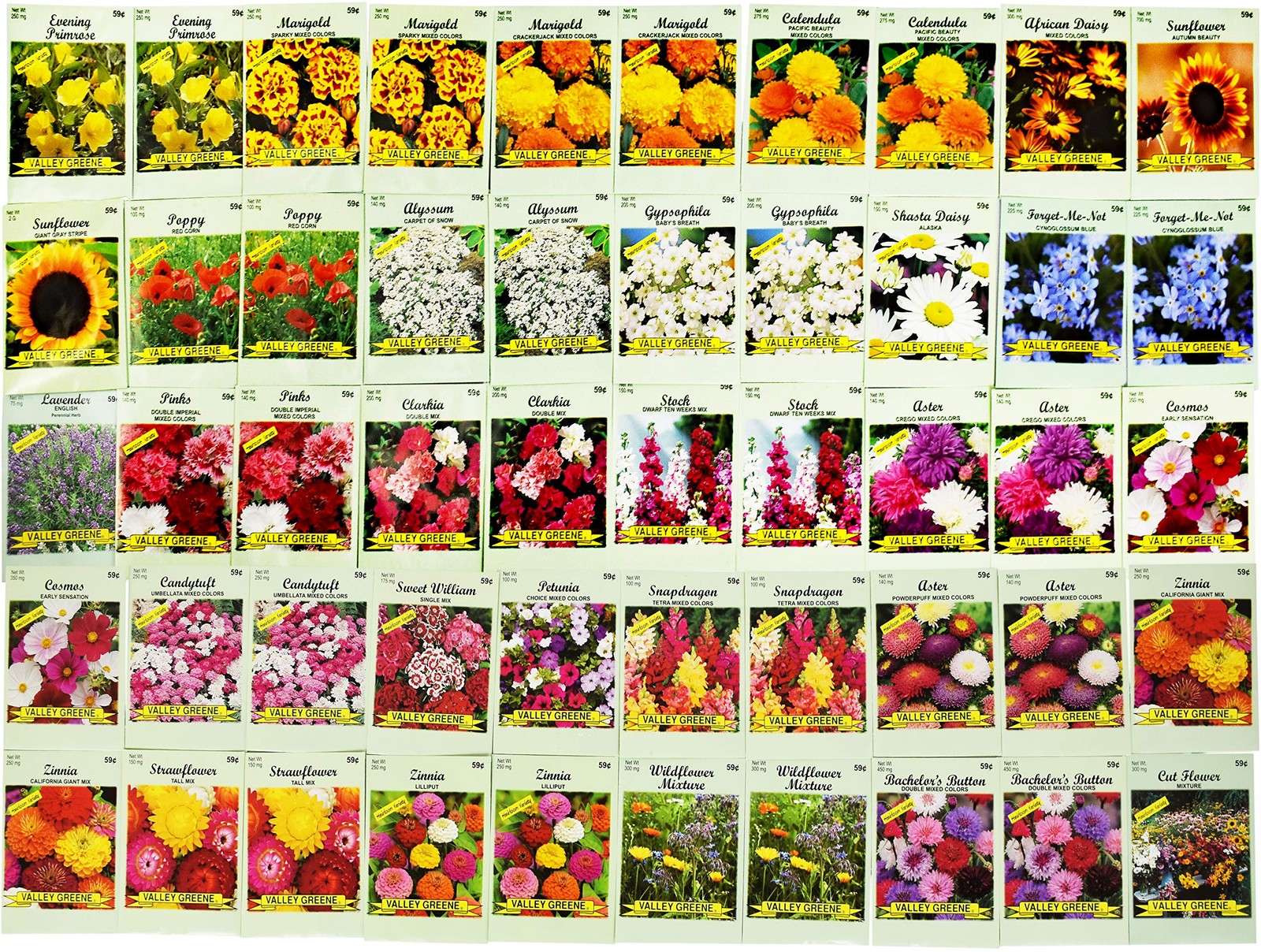 50 Flower Seed Packets Bulk Assortment with 10+ Varieties Available
