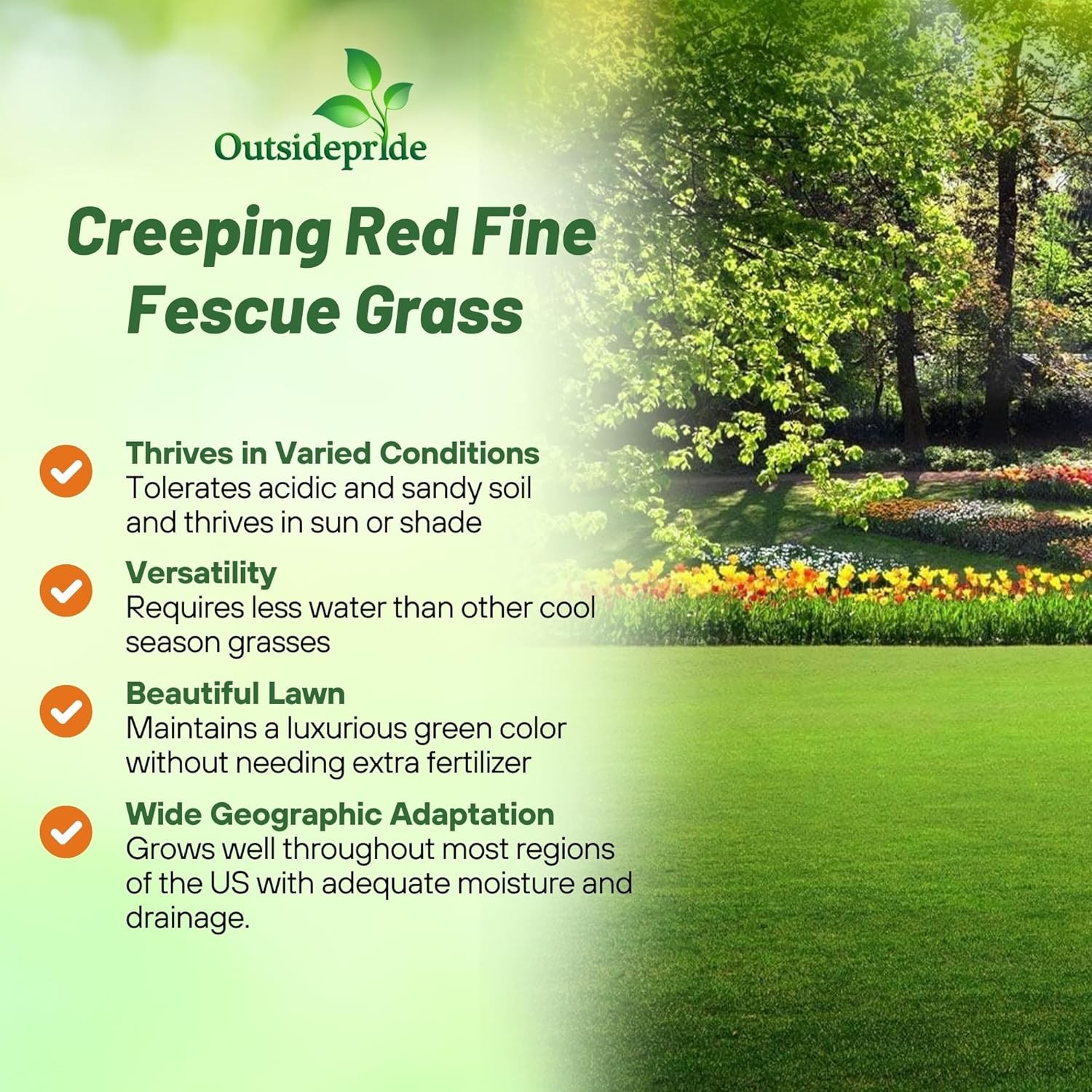 25 LBS – OptiGrowth Coated Creeping Red Fescue Grass Seed For Shade
