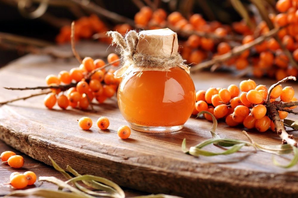Sea Buckthorn “Seaberry” Tree Seeds (Hippophae Rhamnoides) Cold Hardy Fruit
