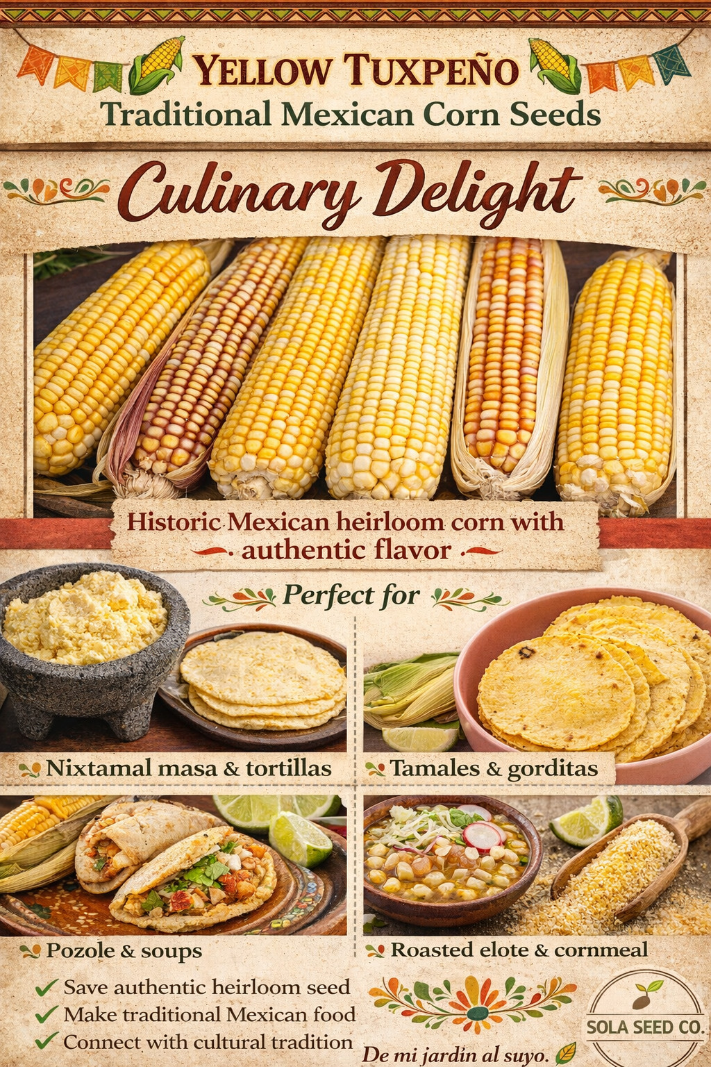 25 Rare Yellow Tuxpeño Mexican Corn Seeds Heirloom Maize Traditional Masa Elote