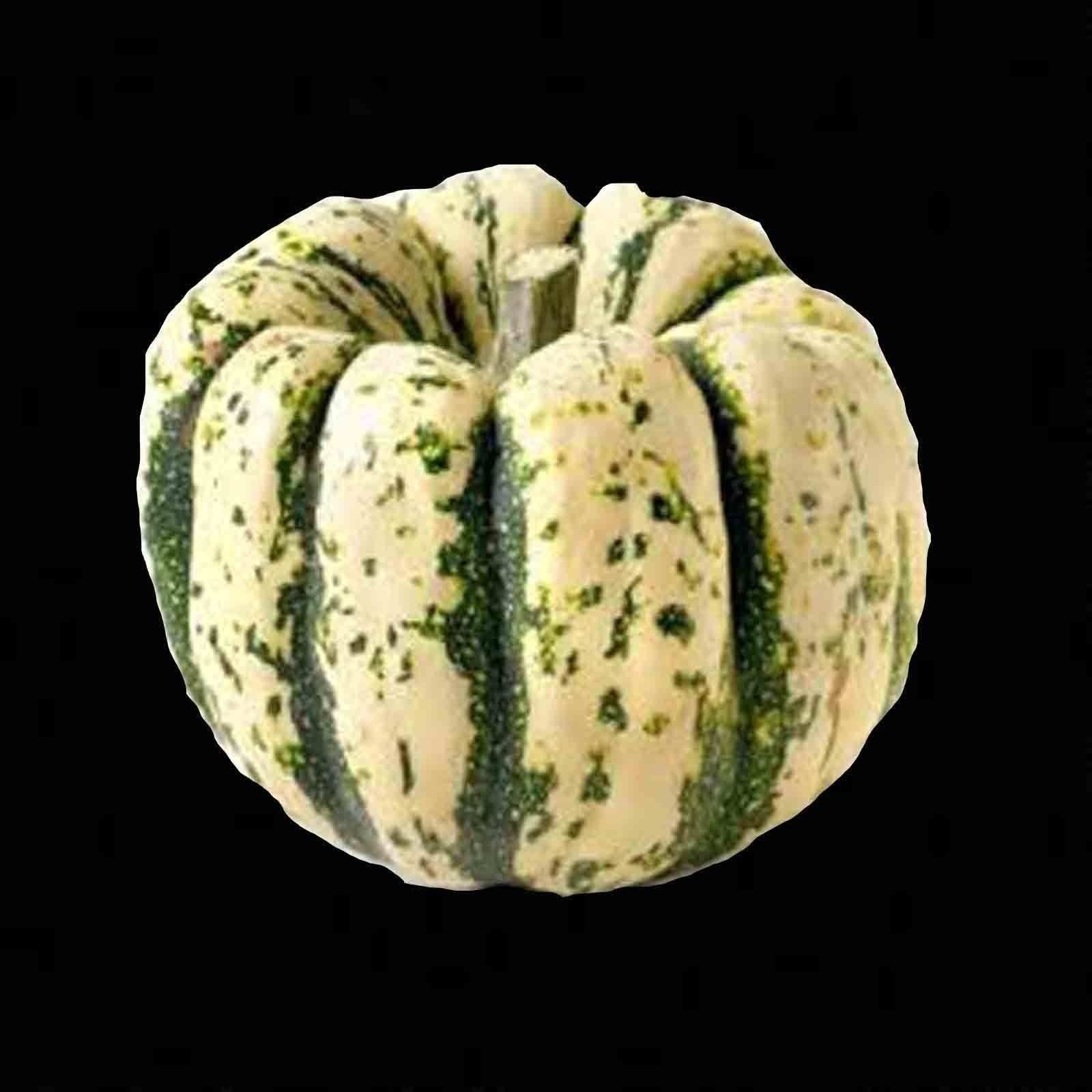SWEET SQUASH SPRING VEGETABLE TASTY 20 SEEDS PUMPKIN TASTY HEIRLOOM NON-GMO USA